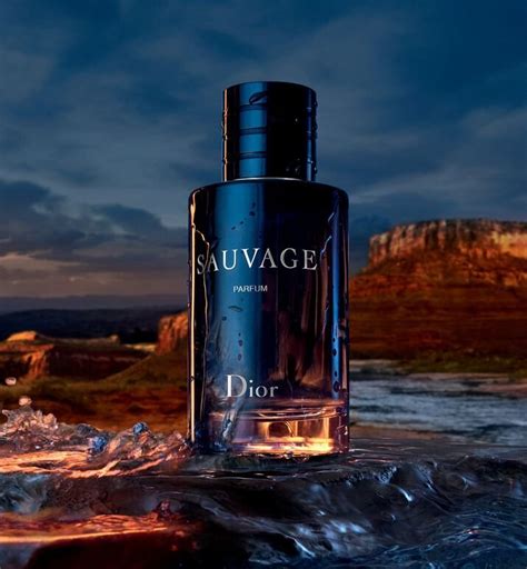 dior sauvage eau de parfum alternative|dior sauvage 100ml perfume shop.